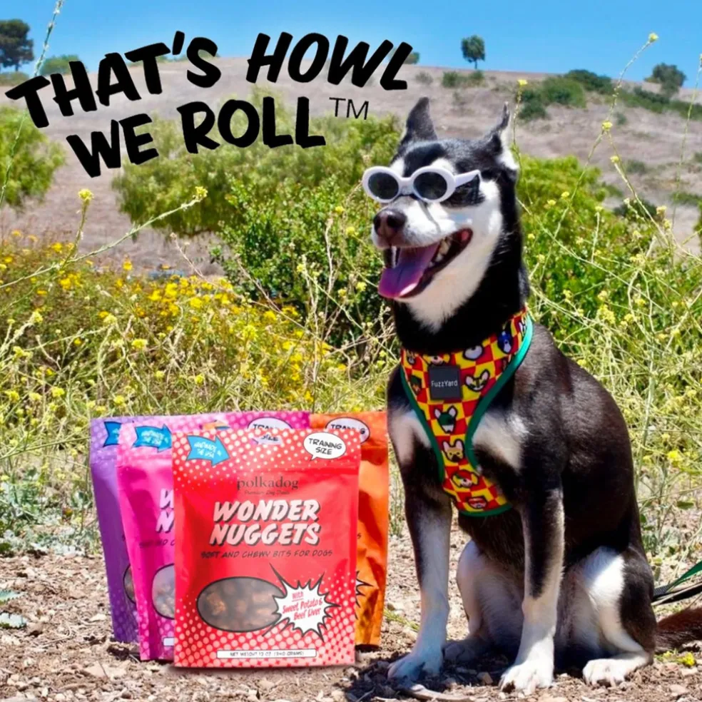 Polkadog Wonder Nuggets Sweet Potato & Beef Liver Soft & Chewy Bits for Dogs (10 oz)