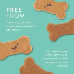 Portland Pet Food Company Grain & Gluten-Free Pumpkin Biscuits Dog Treats, 5-oz