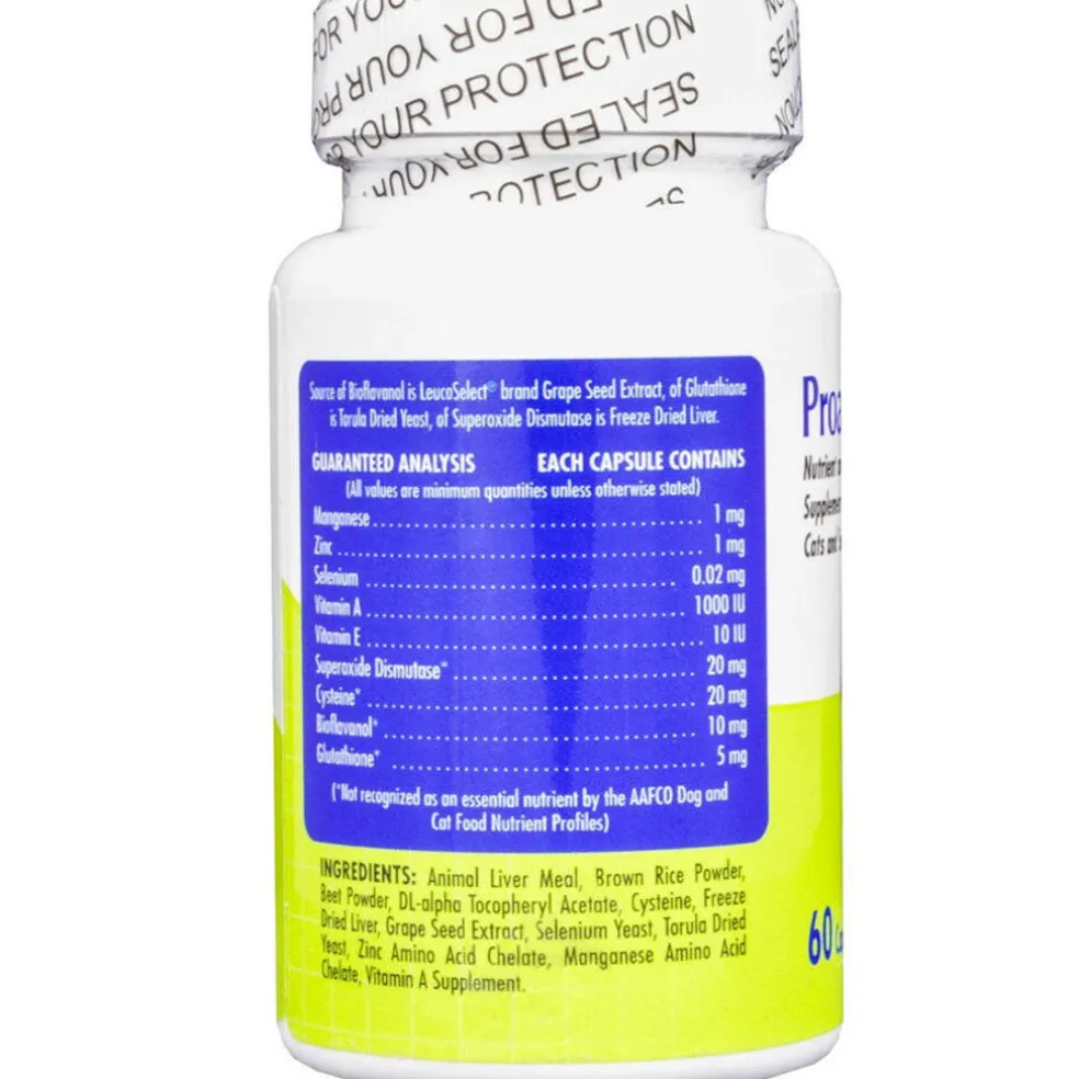 Proanthozone 10 Nutrient & Antioxidant Supplement for Cats & Small Dogs 60 capsules