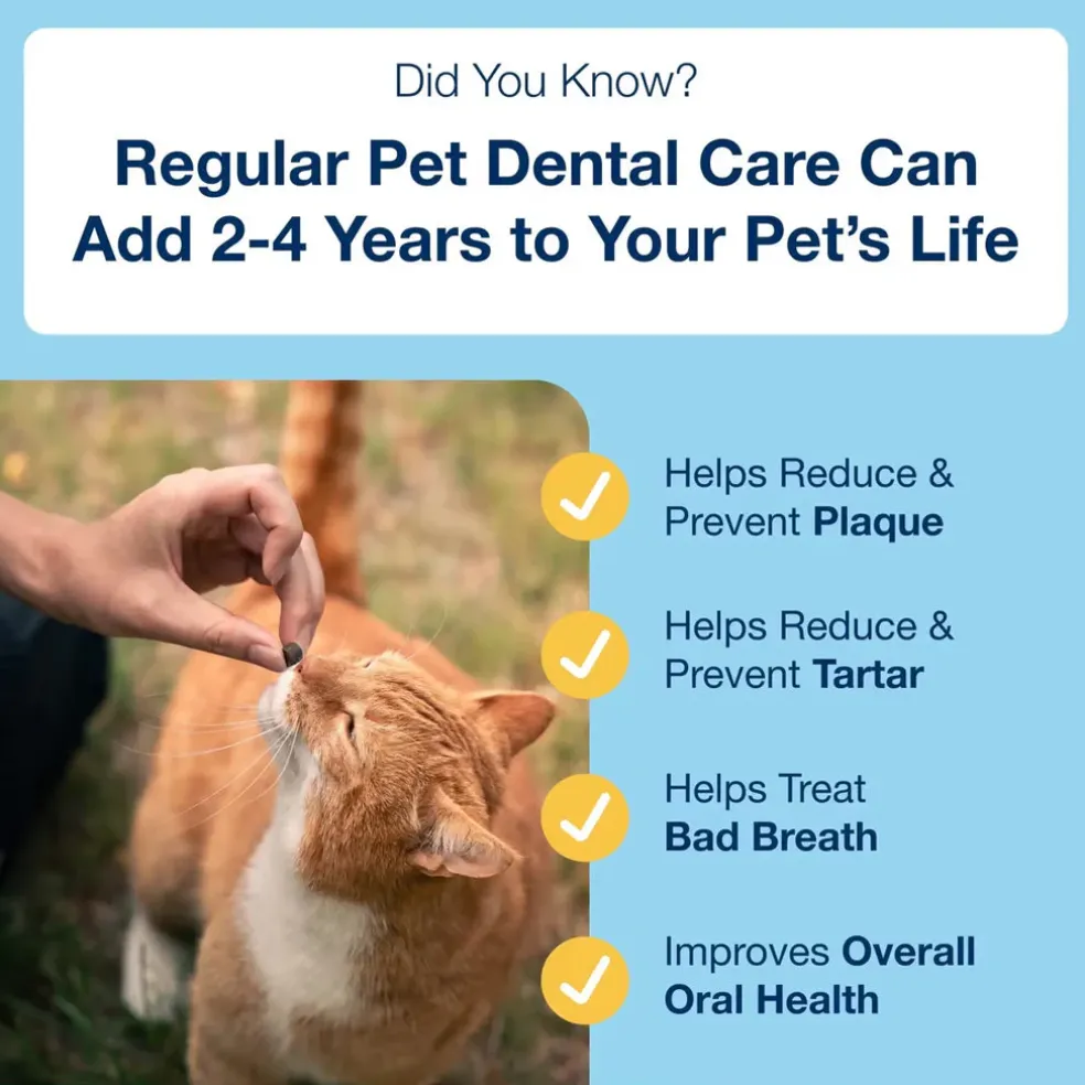 ProDen PlaqueOff Holistic Soft Bites Oral Care Sweet Potato & Chicken Flavor Dental Cat Treats, 3-oz