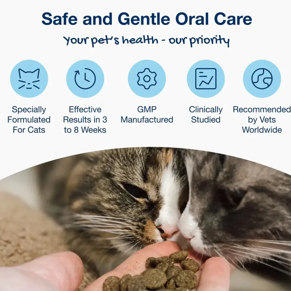 ProDen PlaqueOff Holistic Soft Bites Oral Care Sweet Potato & Chicken Flavor Dental Cat Treats, 3-oz