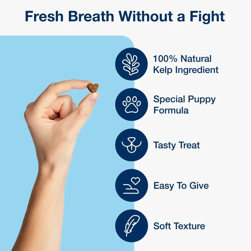 ProDen PlaqueOff Holistic Soft Bites Oral Care Puppy Formula, 6-oz