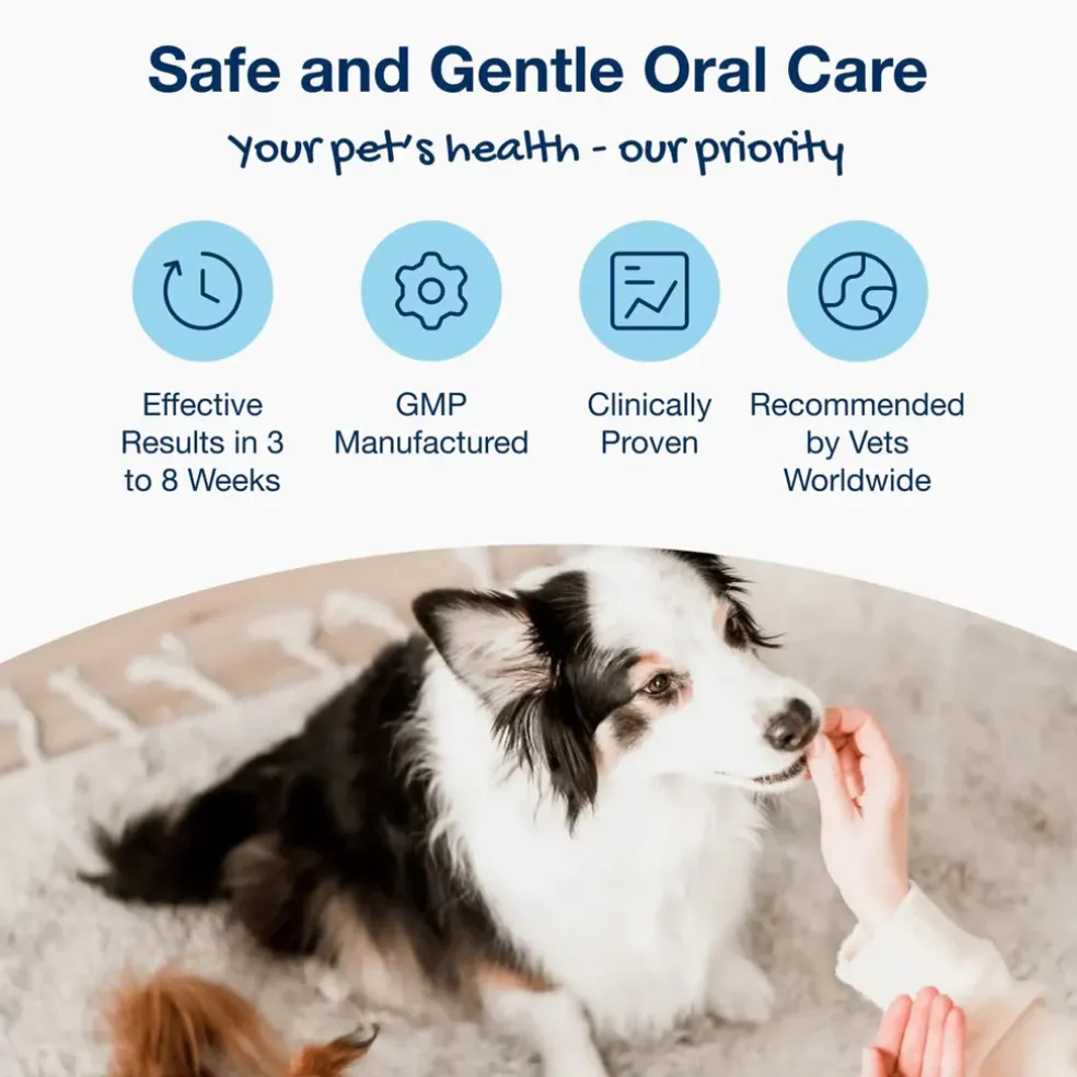 ProDen PlaqueOff Holistic Soft Bites Oral Care Puppy Formula, 6-oz