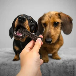 ProDen Plaque Off System Mini Dental Care Bones Dental Chews for X-Small & Small Dogs, 20 Bones