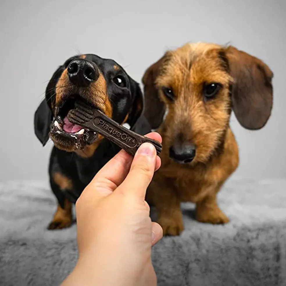 ProDen Plaque Off System Mini Dental Care Bones Dental Chews for X-Small & Small Dogs, 20 Bones