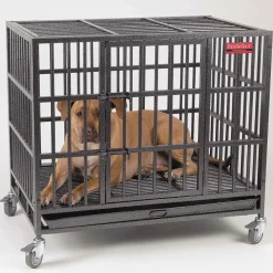 ProSelect Empire Dog Cages