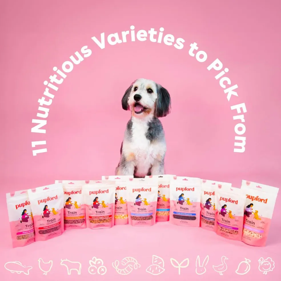 Pupford Train Freeze-Dried Chicken Training Treats for Dogs (4 oz)