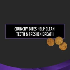 Purina Pro Plan Veterinary Dental Bites Feline Treats