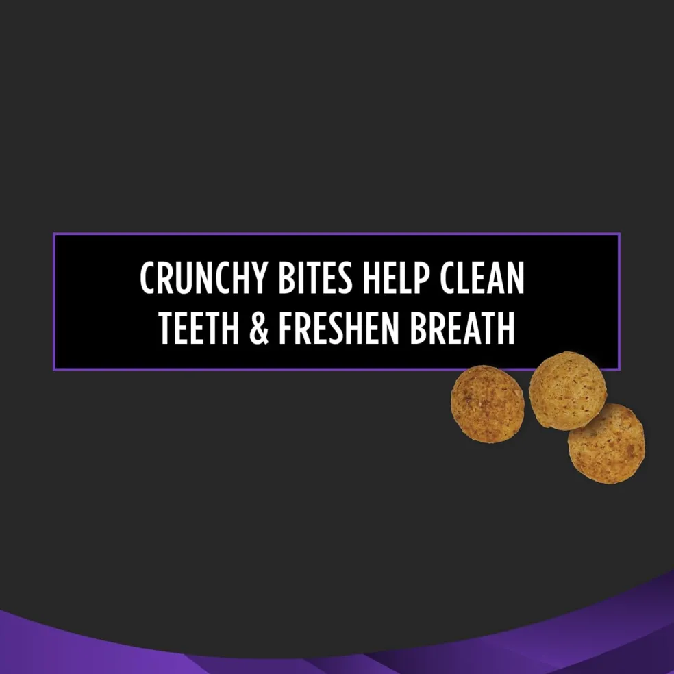 Purina Pro Plan Veterinary Dental Bites Feline Treats