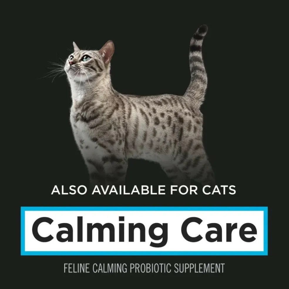Purina Pro Plan Veterinary Supplements Calming Care Probiotic Powder Supplement for Dogs