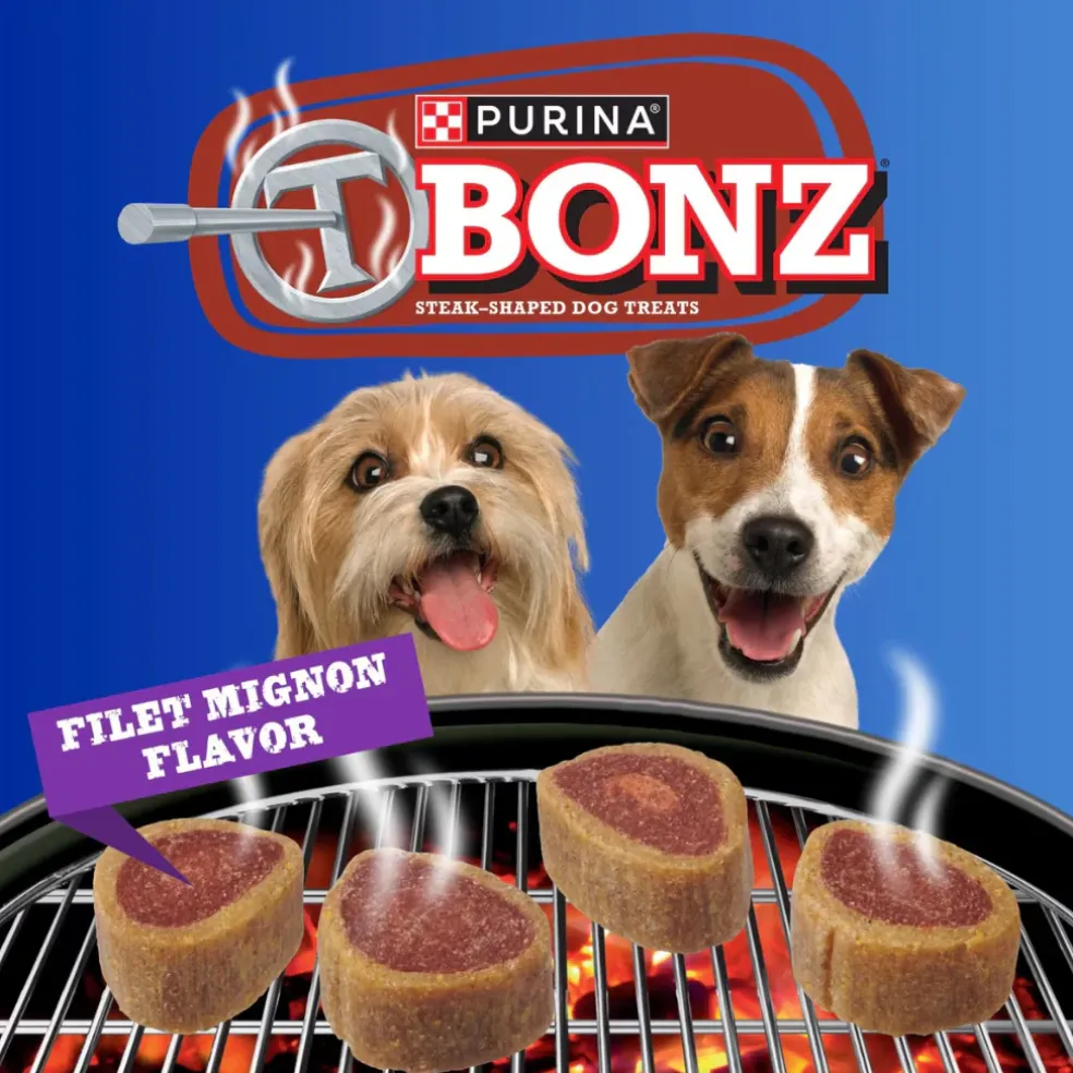 Purina TBONZ Filet Mignon Flavor Soft & Chewy Dog Treats