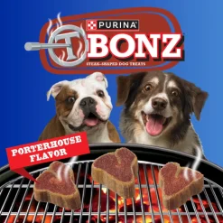 Purina TBONZ Porterhouse Flavor Soft & Chewy Dog Treats