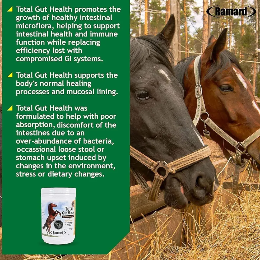 Ramard Total Gut Health Supplement For Horses (1.12 lb, 30 day supply)