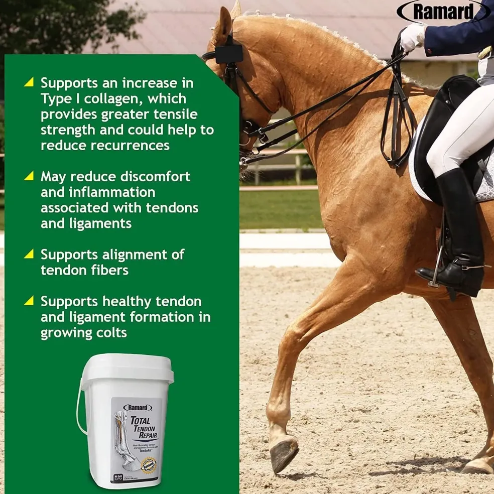 Ramard Total Tendon Repair Powder Horse Supplement (1.12 lb, 30 Day Supply)