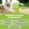 Ready Pet Go Good Gut Probiotic Support for Dogs (60 soft chews)