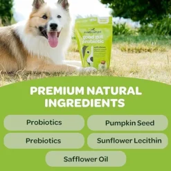 Ready Pet Go Good Gut Probiotic Support for Dogs (60 soft chews)