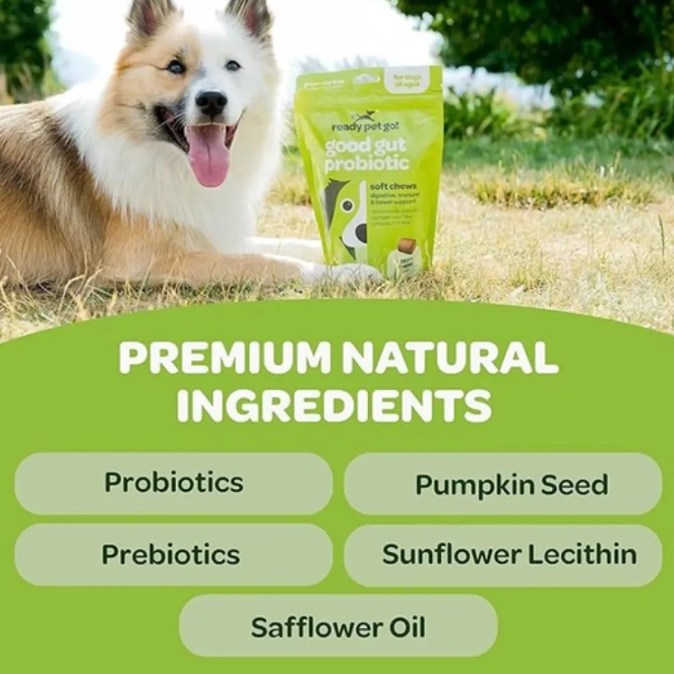 Ready Pet Go Good Gut Probiotic Support for Dogs (60 soft chews)