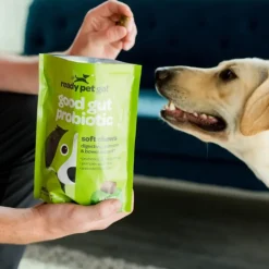 Ready Pet Go Good Gut Probiotic Support for Dogs (60 soft chews)