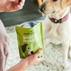 Ready Pet Go Good Gut Probiotic Support for Dogs (60 soft chews)