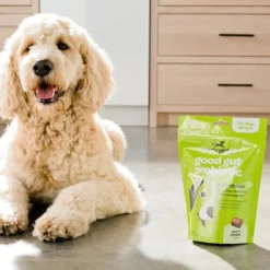 Ready Pet Go Good Gut Probiotic Support for Dogs (60 soft chews)