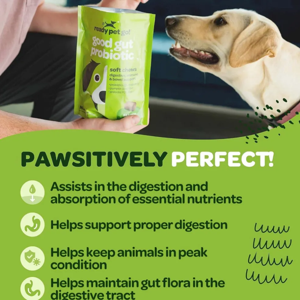 Ready Pet Go Good Gut Probiotic Support for Dogs (60 soft chews)