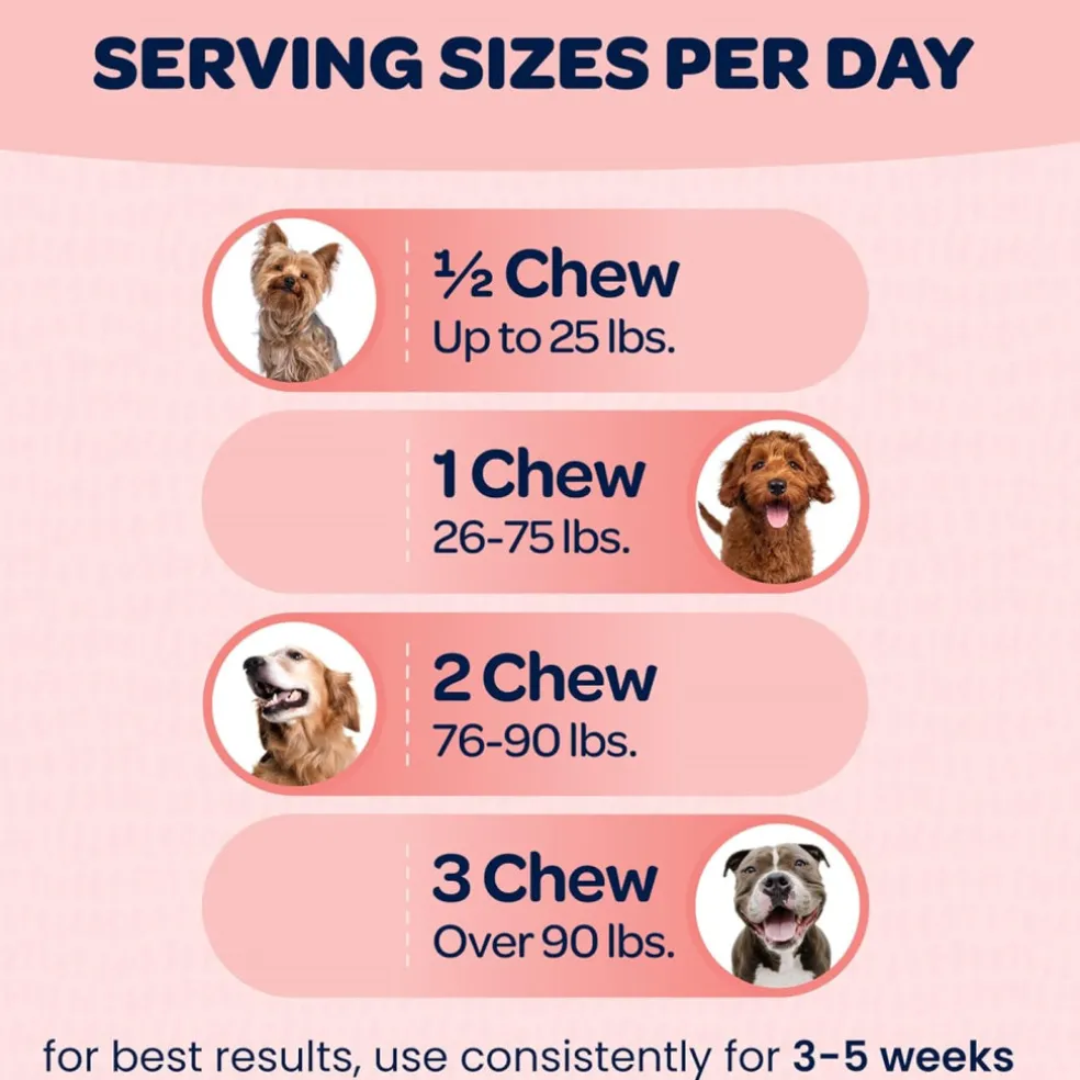Ready Pet Go Hip & Joint Mobility Support for Dogs (90 soft chews)