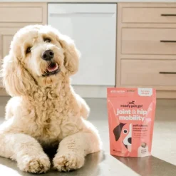 Ready Pet Go Hip & Joint Mobility Support for Dogs (90 soft chews)