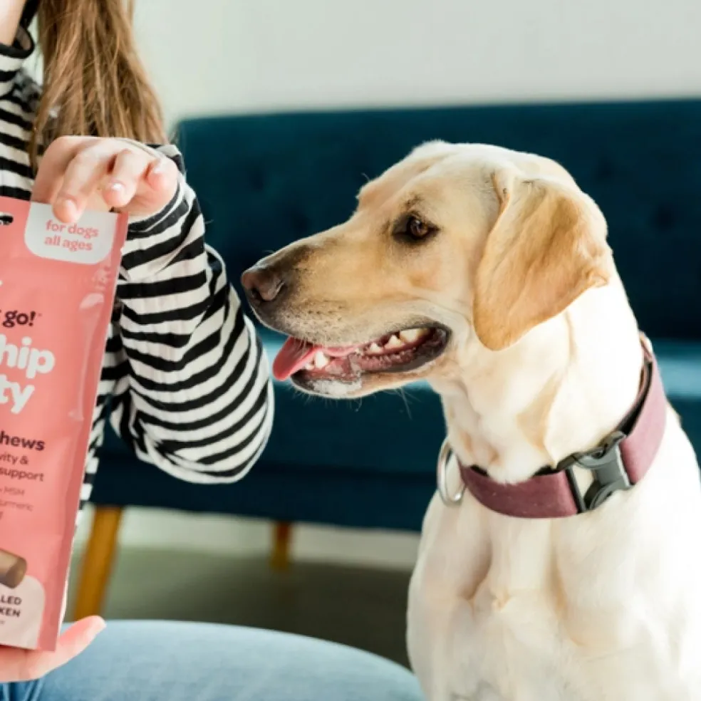 Ready Pet Go Hip & Joint Mobility Support for Dogs (90 soft chews)