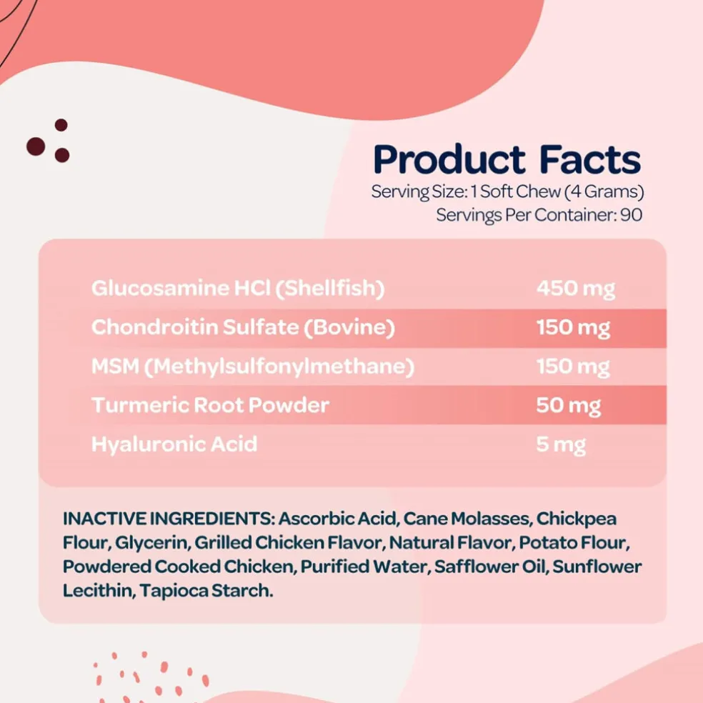 Ready Pet Go Hip & Joint Mobility Support for Dogs (90 soft chews)
