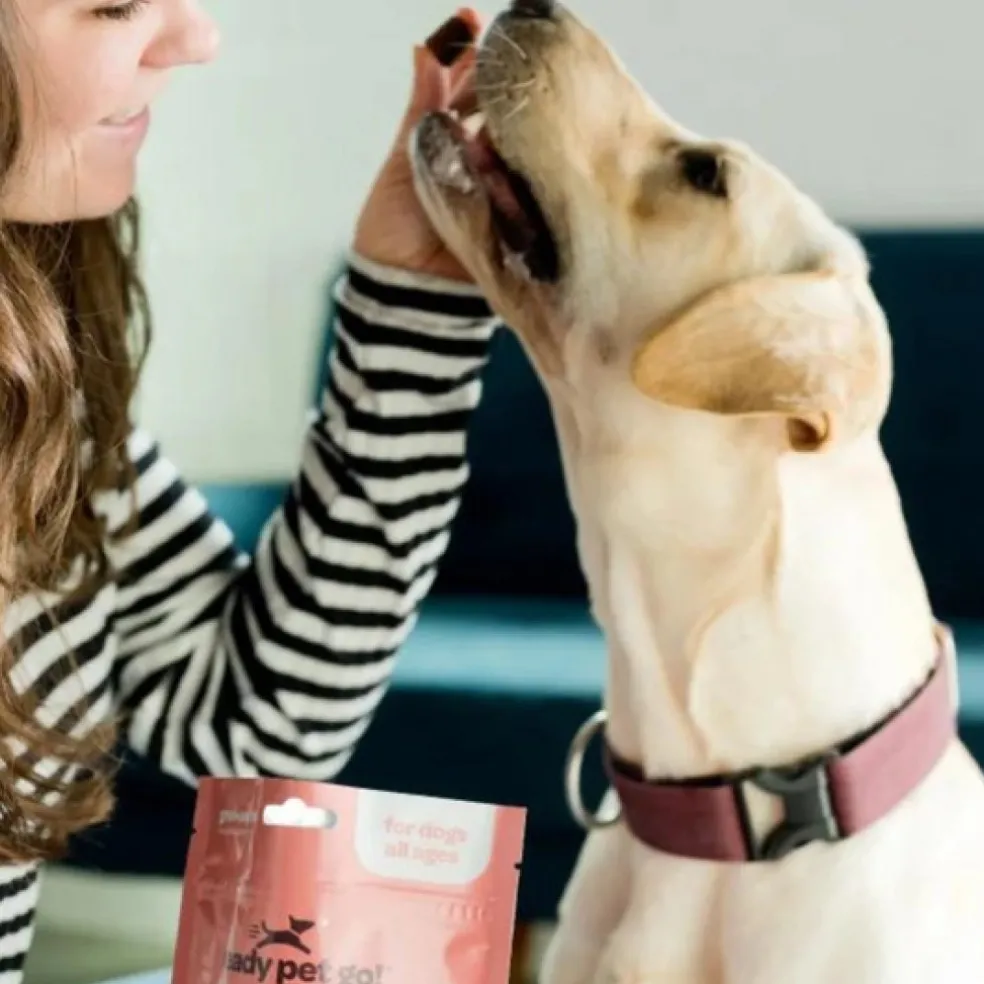 Ready Pet Go Hip & Joint Mobility Support for Dogs (90 soft chews)