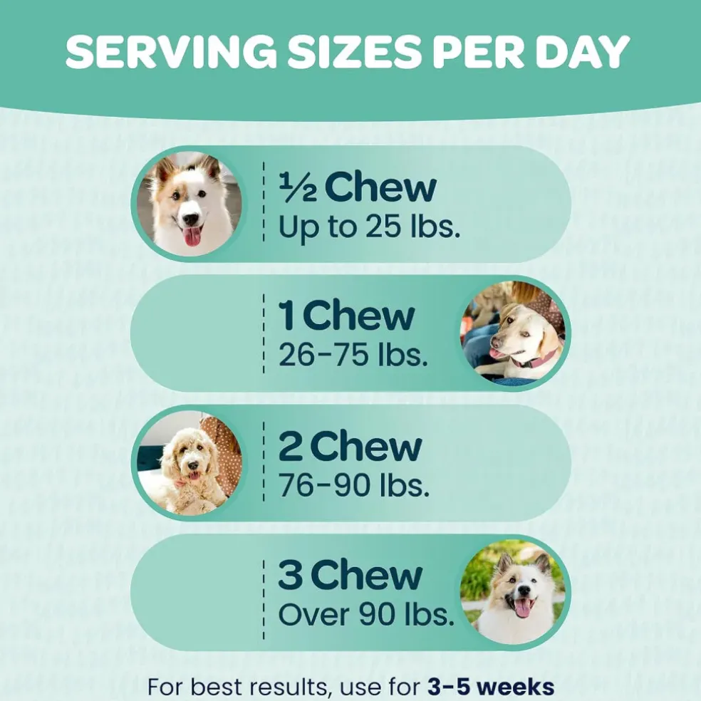 Ready Pet Go Seasonal Allergy Support for Dogs (60 soft chews)