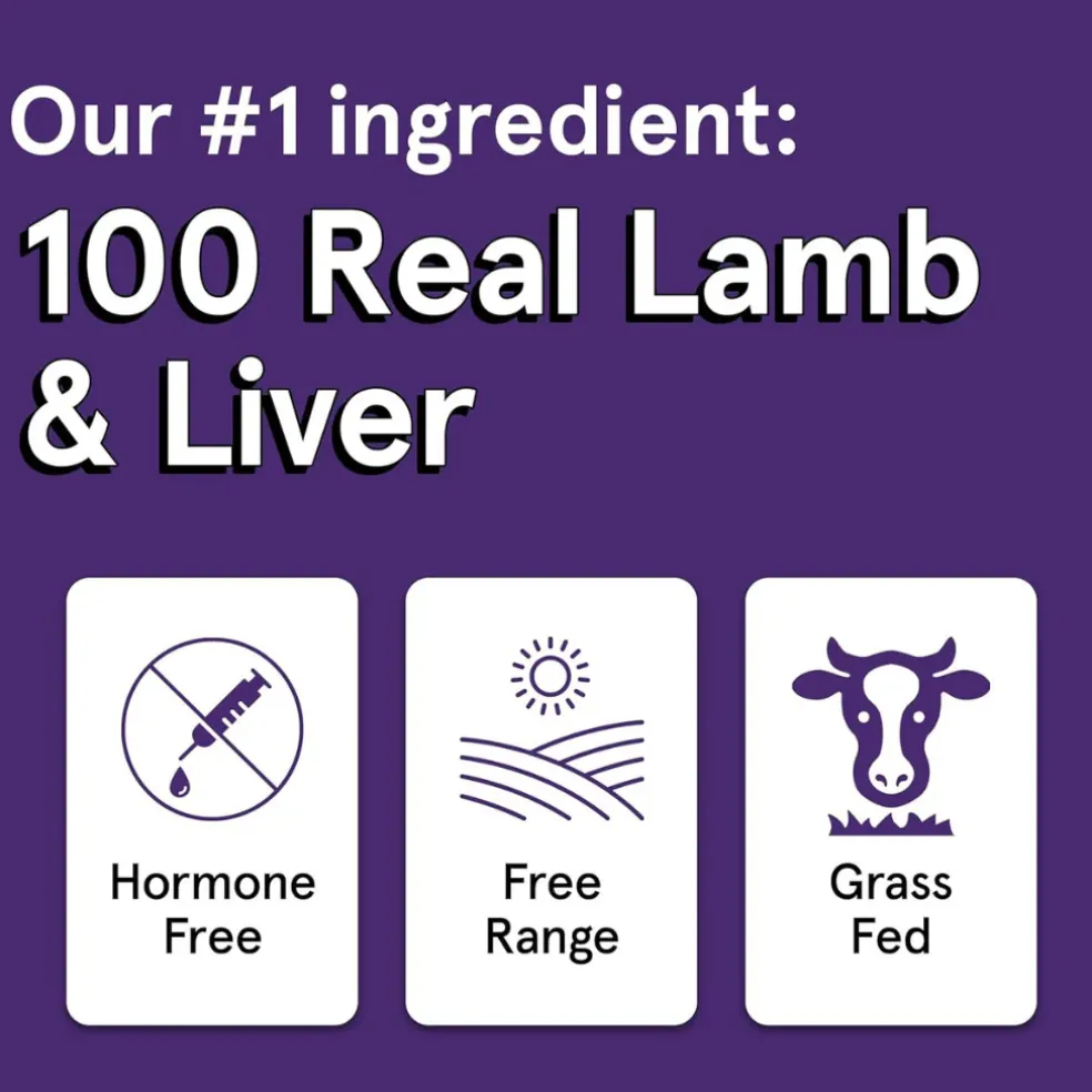 Real Meat All Natural Lamb & Liver Jerky Treats for Dogs