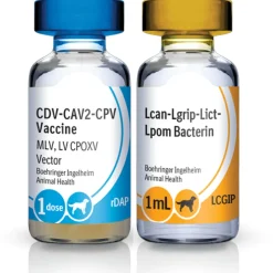Recombitek C7 (rDAP-LCGIP) for Dogs, 1 dose x 25