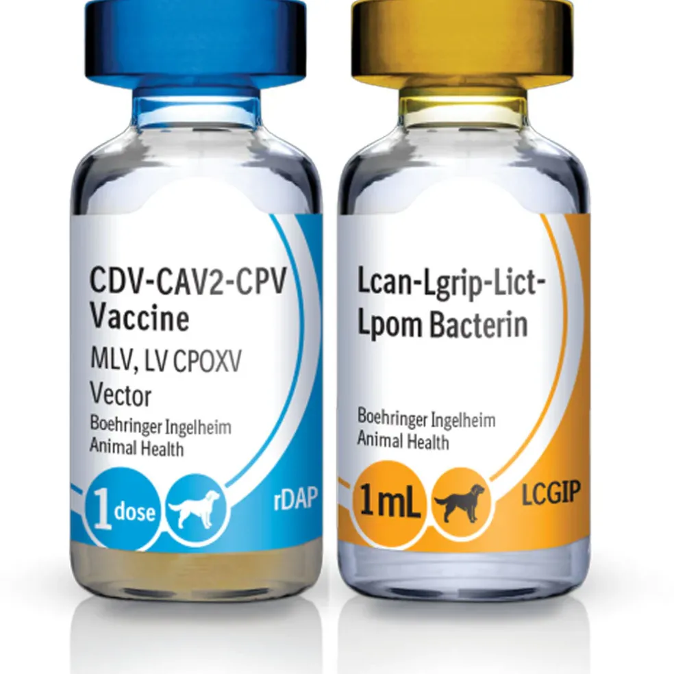 Recombitek C7 (rDAP-LCGIP) for Dogs, 1 dose x 25