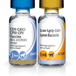 Recombitek C8 (rDAPP-LCGIP) for Dogs, 1 dose x 25