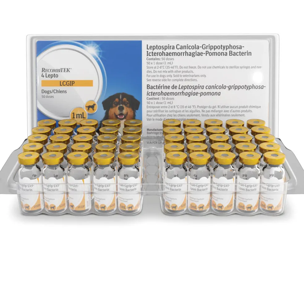 Recombitek 4 Lepto (LCGIP) for Dogs, 1 ml x 50 doses