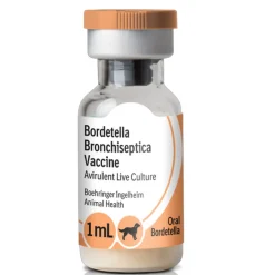 Recombitek Oral Bordetella for Dogs, 1 ml x 25 doses