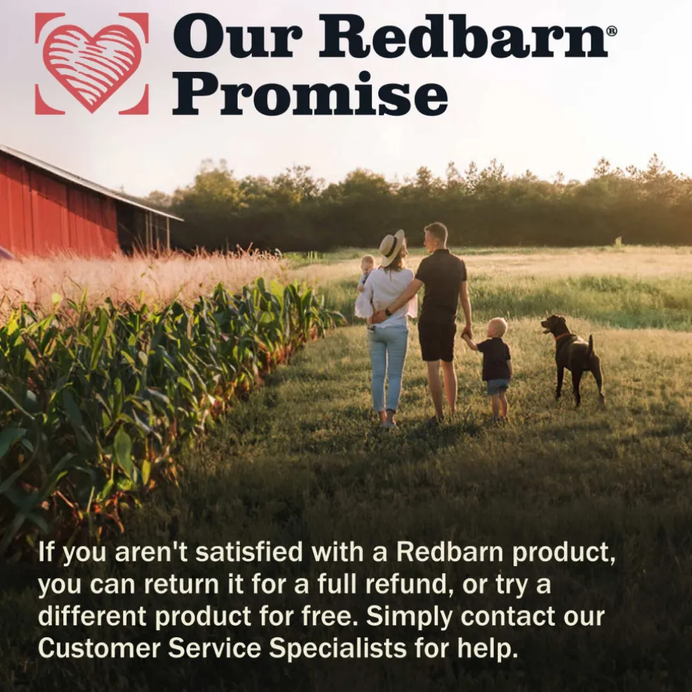 Redbarn Air-Dried Small Breed Chicken & Blueberry Recipe Food For Dogs (2 lb)