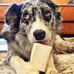 Redbarn Beef Filled Bone Chew for Dogs
