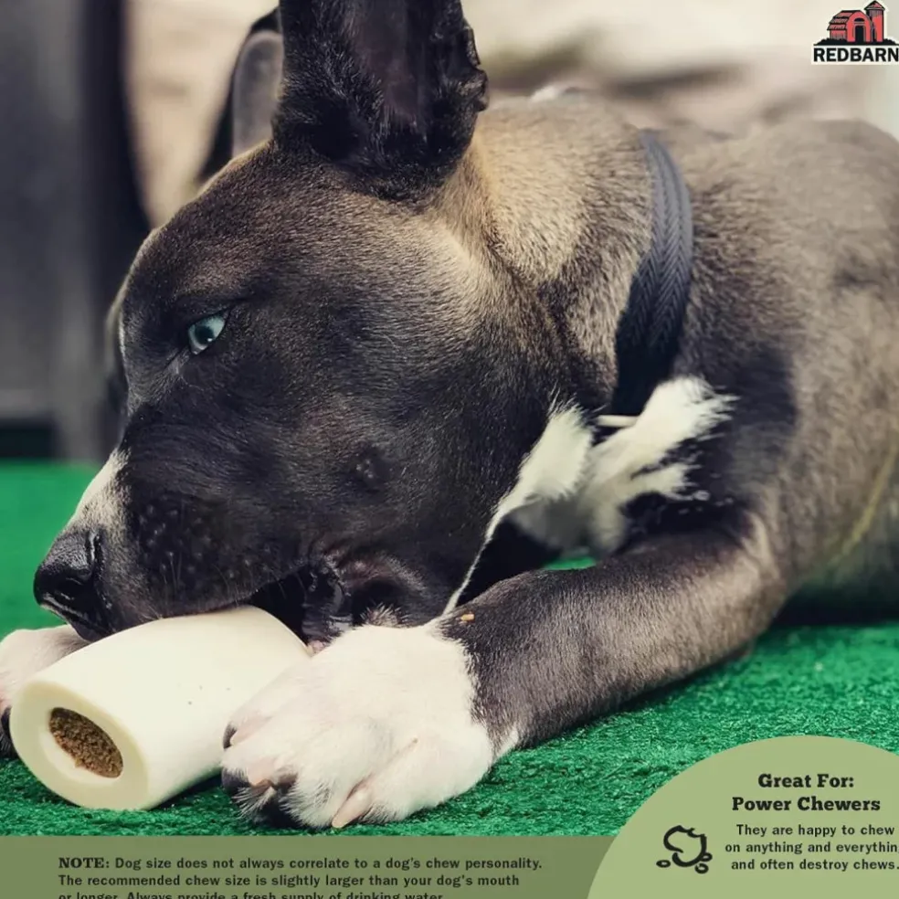Redbarn Beef Filled Bone Chew for Dogs