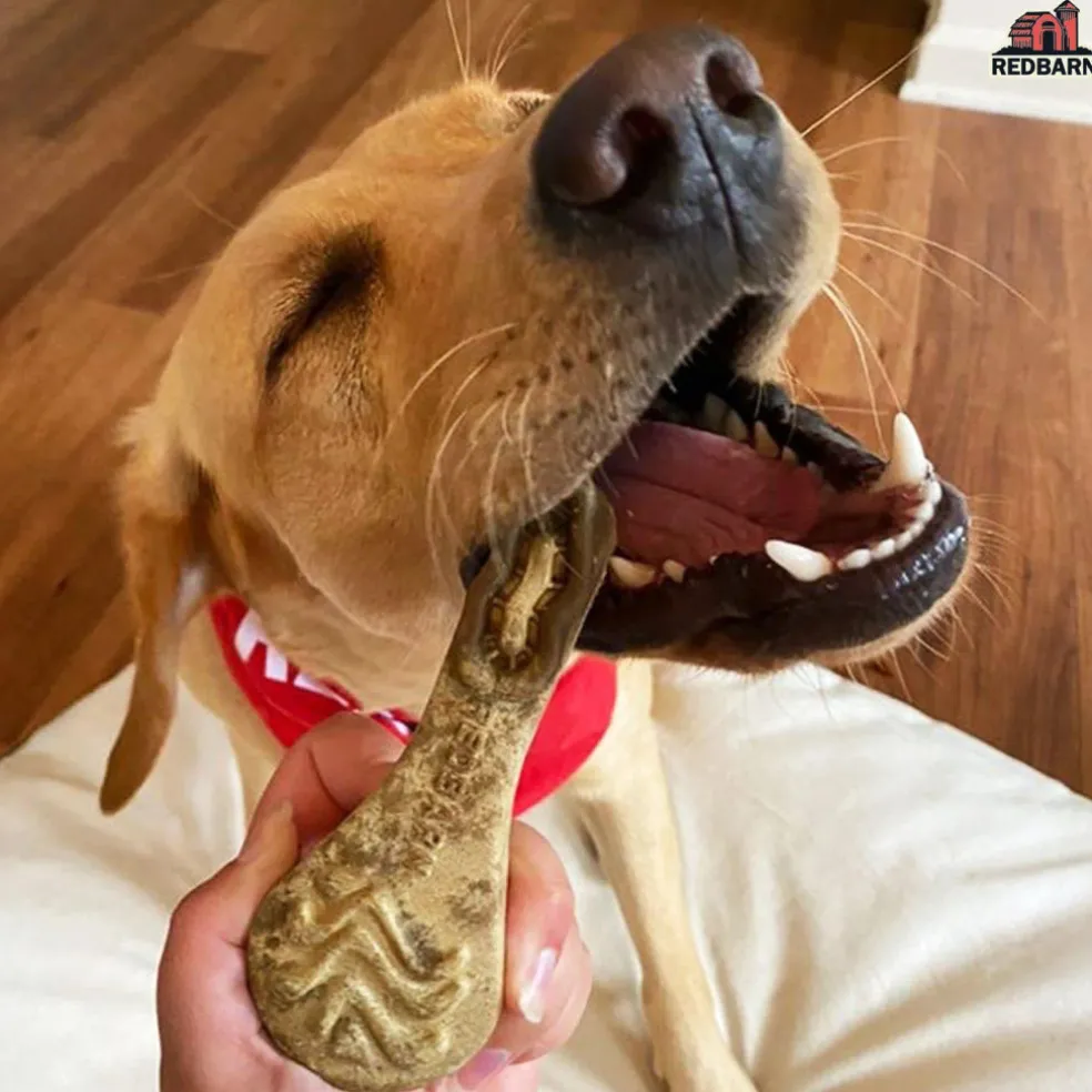 Redbarn Chew-A-Bulls Brush Shaped Dental Chews for Dogs