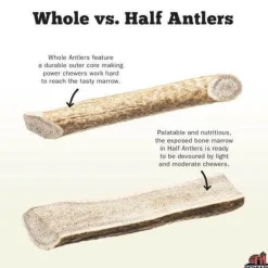 Redbarn Half Elk Antler Dog Chew