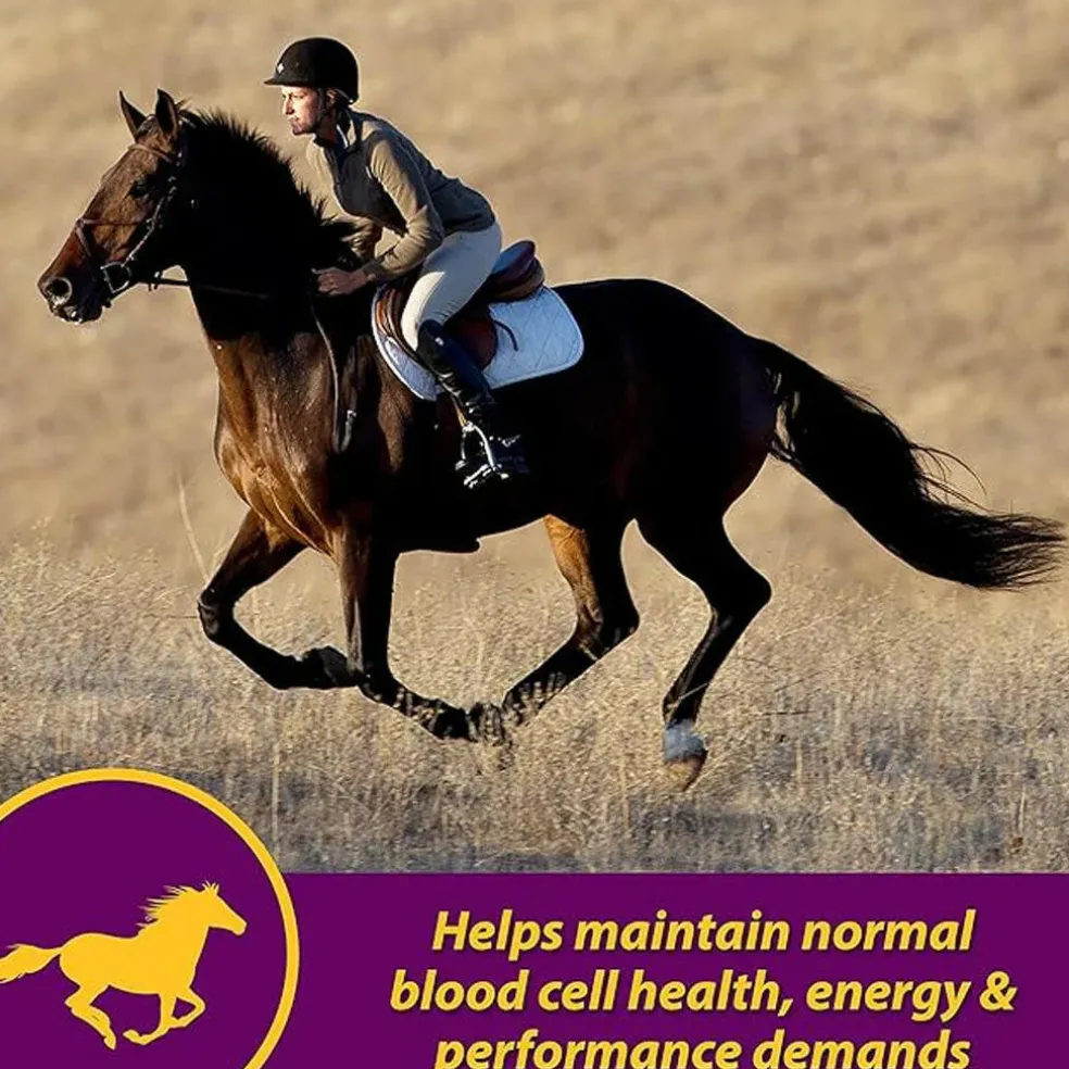 Red Cell Vitamin-Iron-Mineral Supplement for Horses (Gallon)