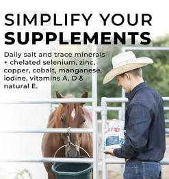 Redmond Daily Red Fortified Loose Mineral Salt for Horses (5 lb)