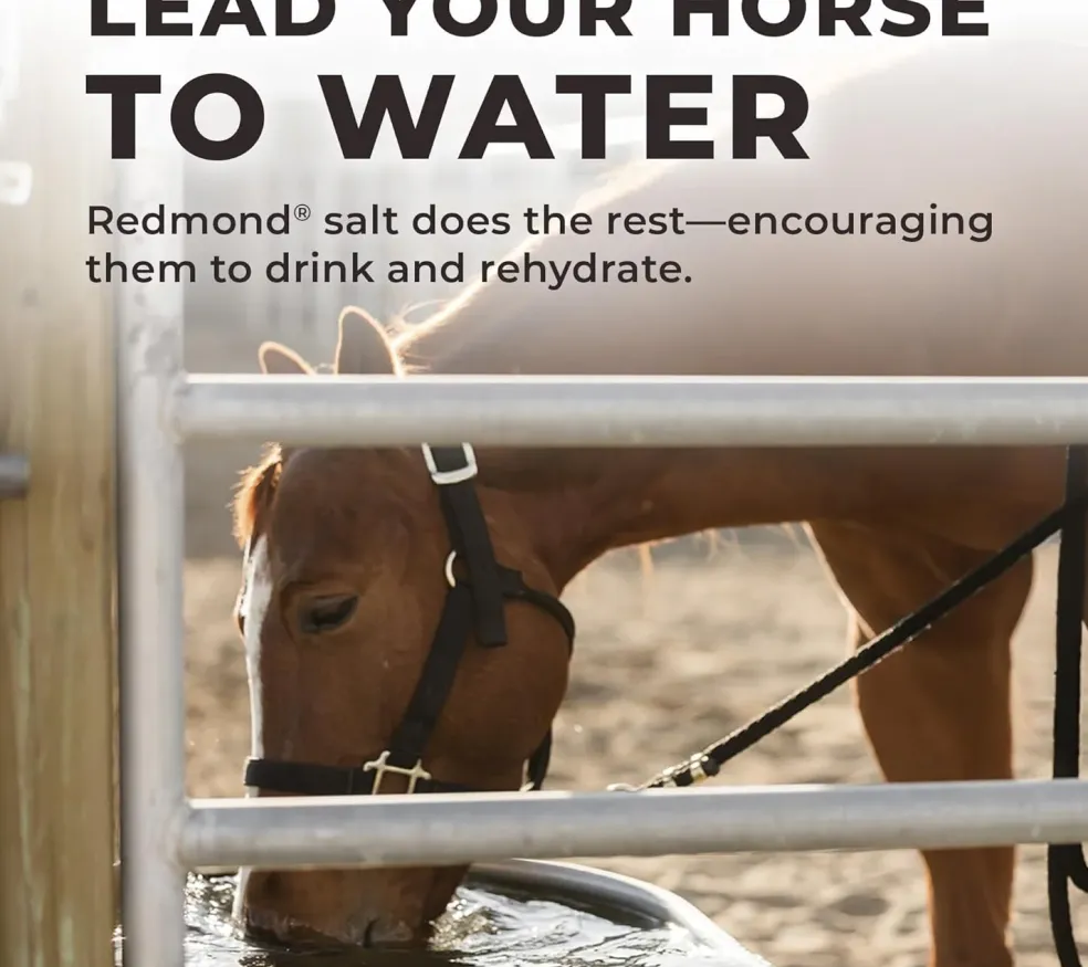 Redmond Daily Red Fortified Loose Mineral Salt for Horses (5 lb)
