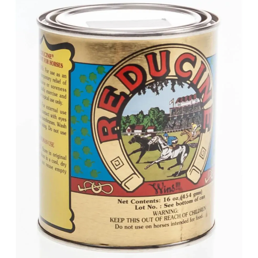 Reducine Absorbent for Horses (16 oz)