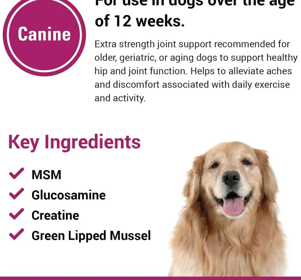 Re-Flex Ultra Strength Joint Support For Dogs (120 Chew Tabs)