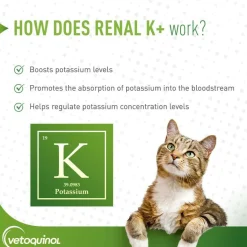 Renal K+ Powder Kidney Supplement (Potassium Gluconate) for Cats & Dogs (100g)