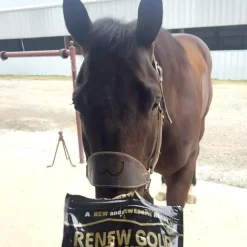 Renew Gold Bisquits Treats For Horse (2 lb)