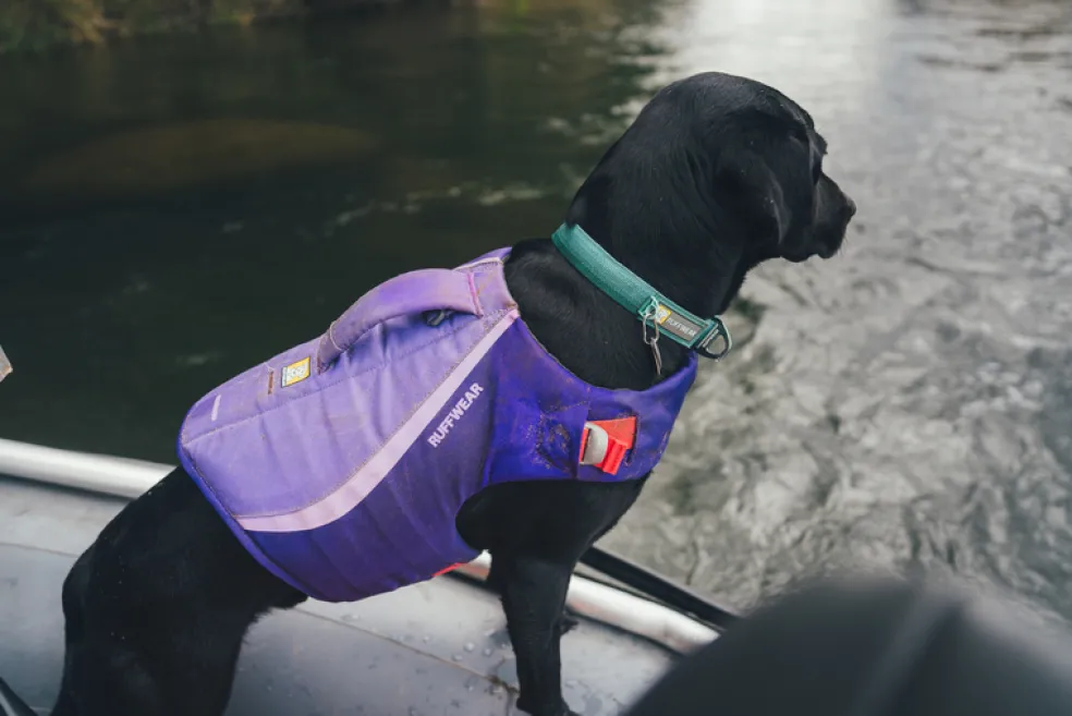 Ruffwear Float Coat Dog Life Jacket